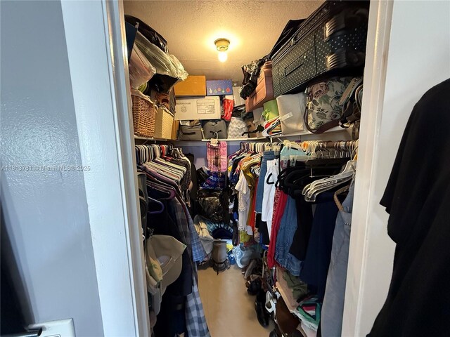 2851 E Sunrise Lakes Dr Unit 205, Sunrise, FL 33322 - view of spacious closet