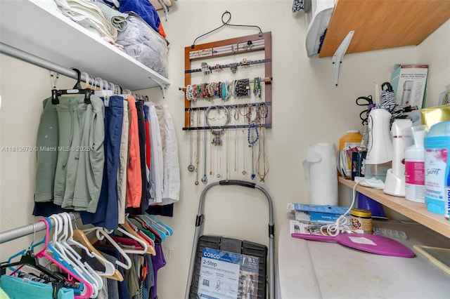 401 SW 109th Ave Unit 26, Sweetwater, FL 33174 - view of walk in closet