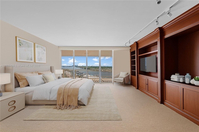 3 Grove Isle Dr Unit C1610, Miami, FL 33133 - bedroom with rail lighting, access to exterior, carpet floors, and floor to ceiling windows