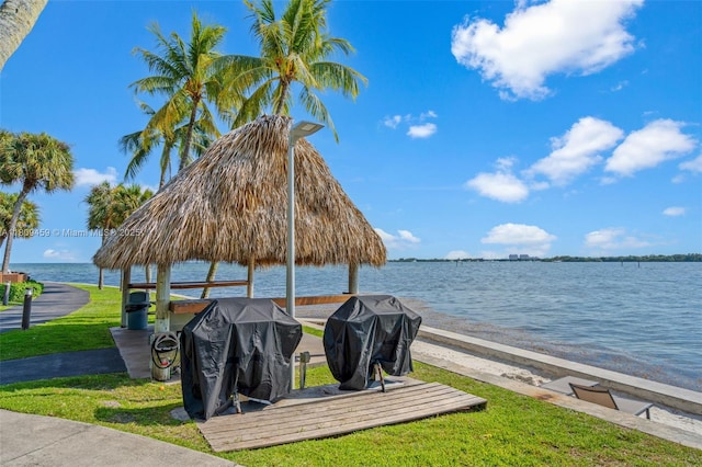 3 Grove Isle Dr Unit C1610, Miami, FL 33133 - water view with a gazebo