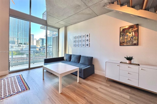 690 SW 1st Ct Unit 1006, Miami, FL 33130 - living room featuring light wood finished floors, a city view, floor to ceiling windows, and baseboards