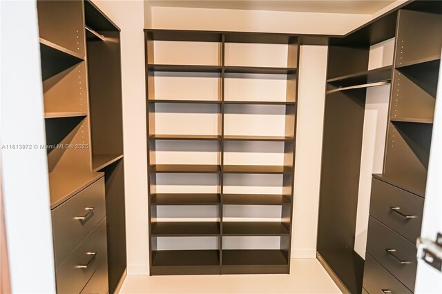 200 Leslie Dr Unit 314, Hallandale Beach, FL 33009 - view of spacious closet