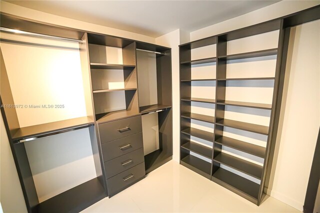 200 Leslie Dr Unit 314, Hallandale Beach, FL 33009 - view of walk in closet