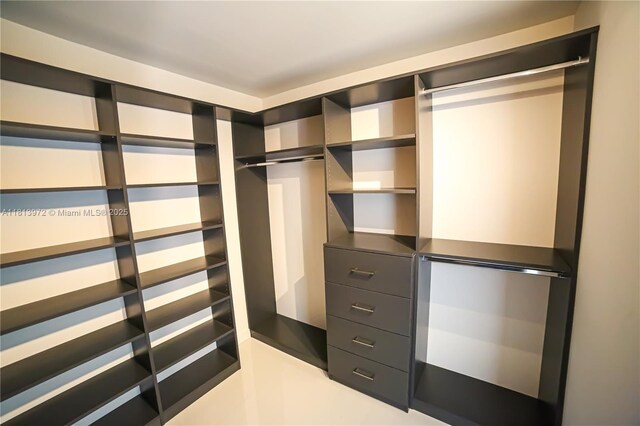 200 Leslie Dr Unit 314, Hallandale Beach, FL 33009 - view of spacious closet
