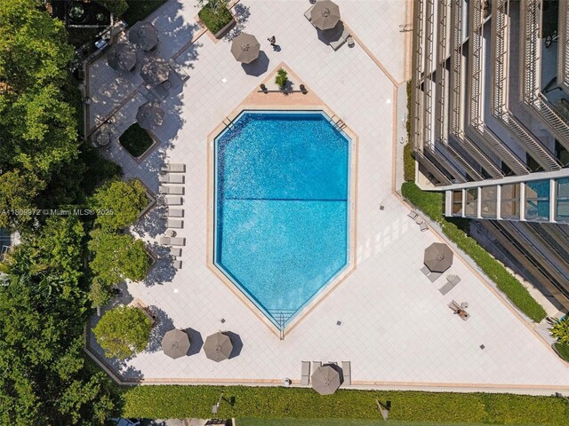 2901 S Bayshore Dr Unit 17G/H, Miami, FL 33133 - bird's eye view of a pool area