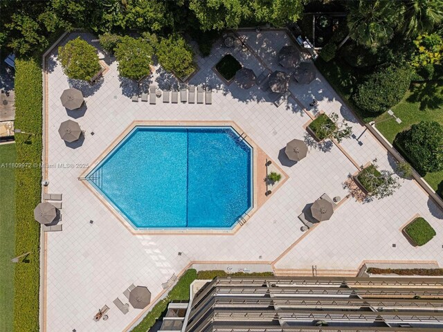 2901 S Bayshore Dr Unit 17G/H, Miami, FL 33133 - drone / aerial view of a pool