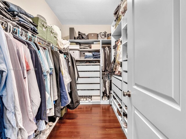 7448 SW 120th Ct, Miami, FL 33183 - walk in closet featuring wood-type flooring