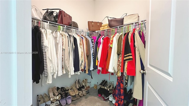 486 Disa Dr, Davenport, FL 33837 - view of spacious closet