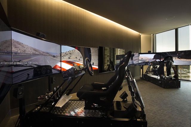 18555 Collins Ave Unit 4603, Sunny Isles Beach, FL 33160 - workout area with carpet