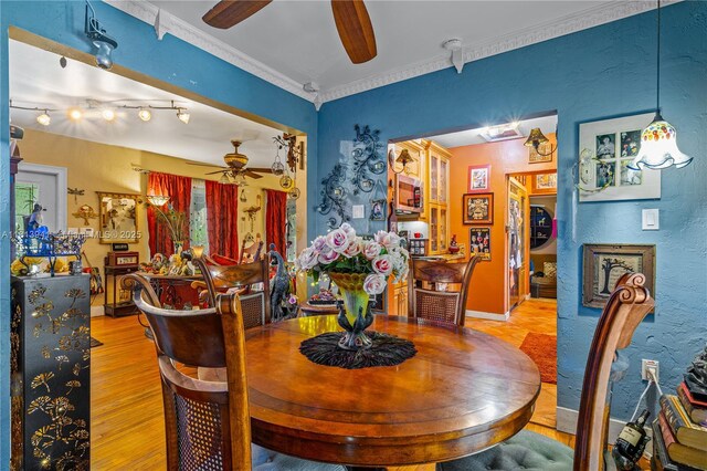 461 Morningside Dr, Miami Springs, FL 33166 - dining space featuring a ceiling fan, light wood-style flooring, and ornamental molding