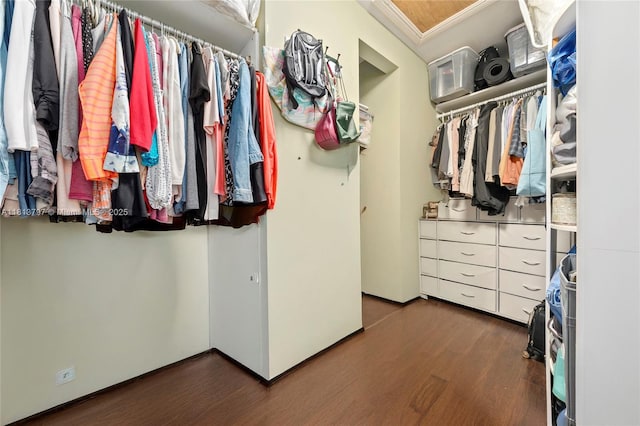 1437 SE 13th St, Deerfield Beach, FL 33441 - walk in closet featuring wood finished floors