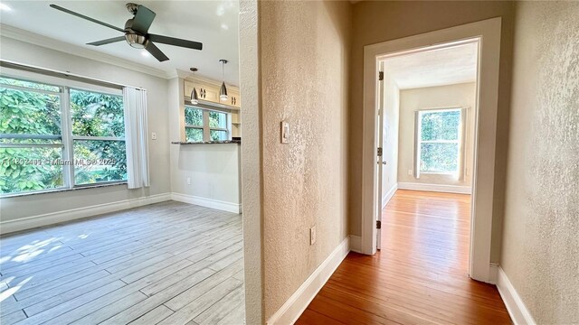 10538 NE 4th Ave, Miami Shores, FL 33138 - photo 11