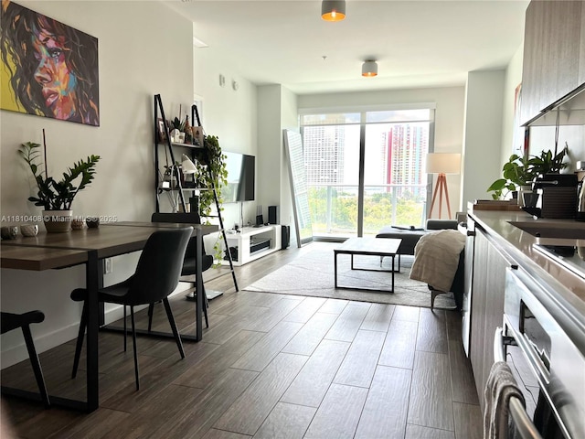 1600 SW 1st Ave Unit 813, Miami, FL 33129 - living room with dark wood-type flooring