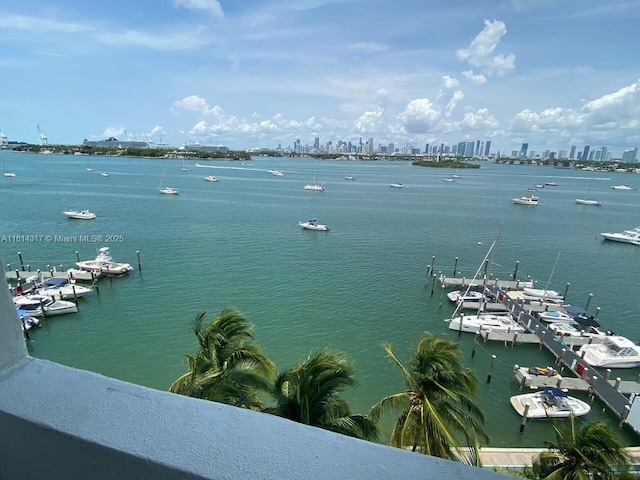 1500 Bay Rd Unit 1274S, Miami Beach, FL 33139 - water view featuring skyline