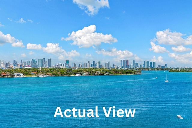 540 W Ave Unit 914, Miami Beach, FL 33139 - water view featuring skyline