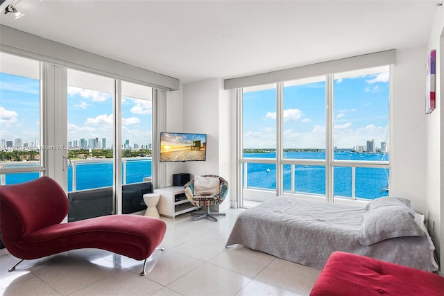 540 W Ave Unit 914, Miami Beach, FL 33139 - bedroom with access to outside and multiple windows