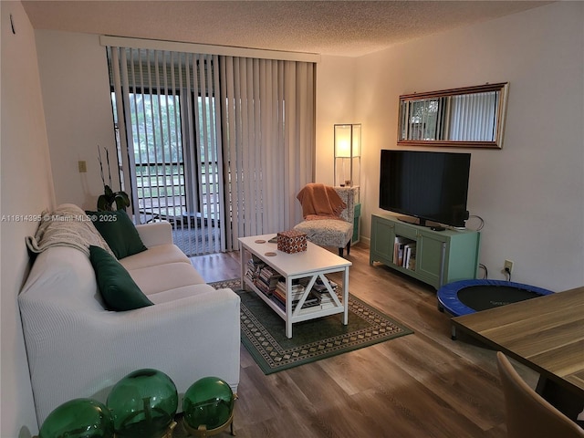 4820 W Lucerne Lakes Blvd W Unit 305, Lake Worth, FL 33467 - living area with wood finished floors and a textured ceiling