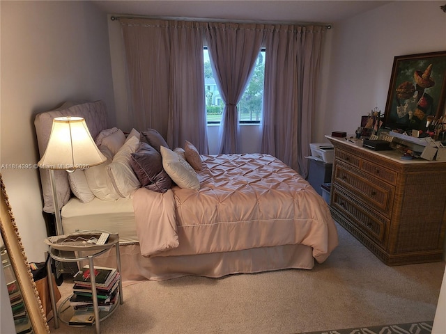 4820 W Lucerne Lakes Blvd W Unit 305, Lake Worth, FL 33467 - bedroom with carpet floors
