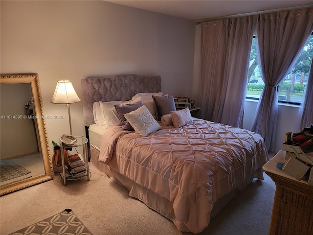 4820 W Lucerne Lakes Blvd W Unit 305, Lake Worth, FL 33467 - bedroom featuring carpet floors
