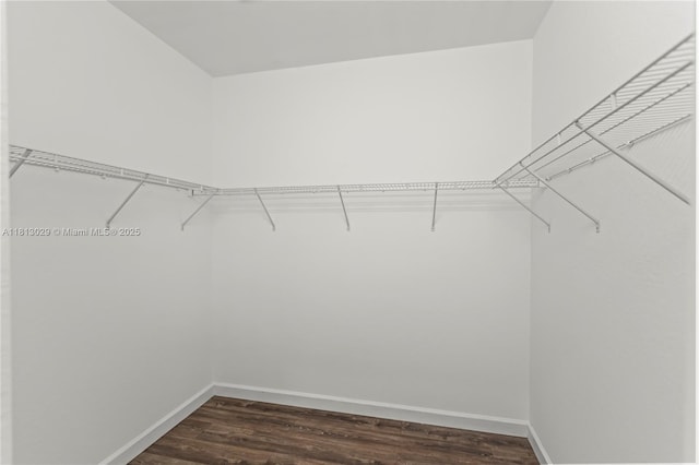 3502 W 86th Ter, Hialeah, FL 33018 - walk in closet featuring dark wood-style flooring