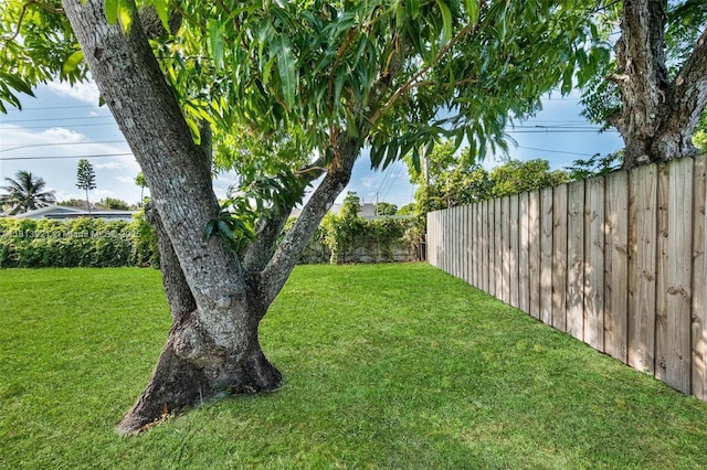 3231 NW 18th Ct, Lauderhill, FL 33311 - photo 25
