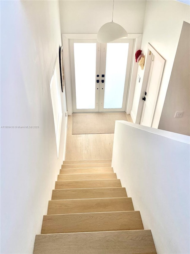 3146 Mcdonald St Unit 3146, Miami, FL 33133 - photo 40