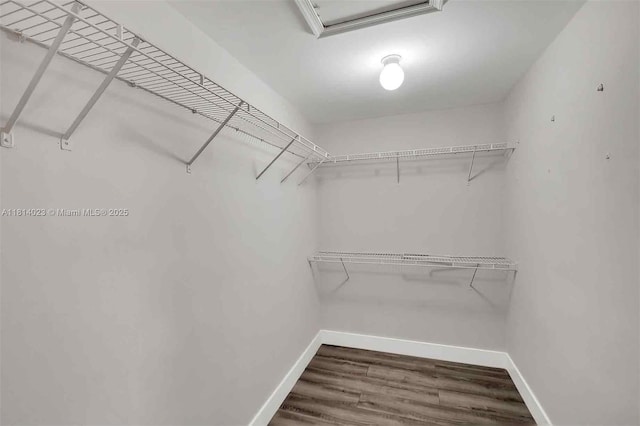 495 SW 183rd Way, Pembroke Pines, FL 33029 - walk in closet featuring wood finished floors