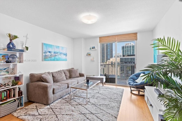 1250 S Miami Ave Unit 2208, Miami, FL 33130 - living room with wood finished floors, a textured ceiling, and a city view