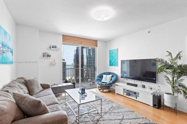 1250 S Miami Ave Unit 2208, Miami, FL 33130 - living room featuring wood finished floors and a textured ceiling