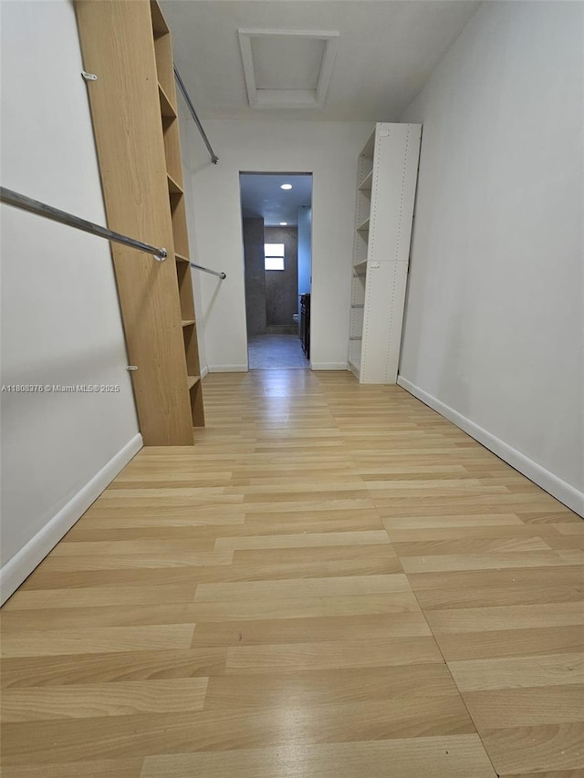 4131 NW 79th Ave Unit 4131, Sunrise, FL 33351 - hall with light wood finished floors, baseboards, and attic access