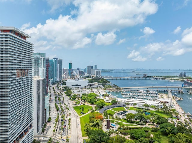 50 Biscayne Blvd Unit 3106, Miami, FL 33132 - water view with nearby urban area and a notable bridge