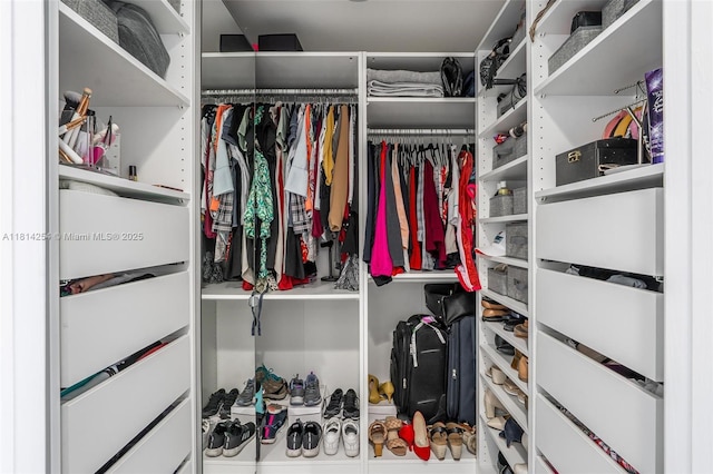 50 Biscayne Blvd Unit 3106, Miami, FL 33132 - view of walk in closet