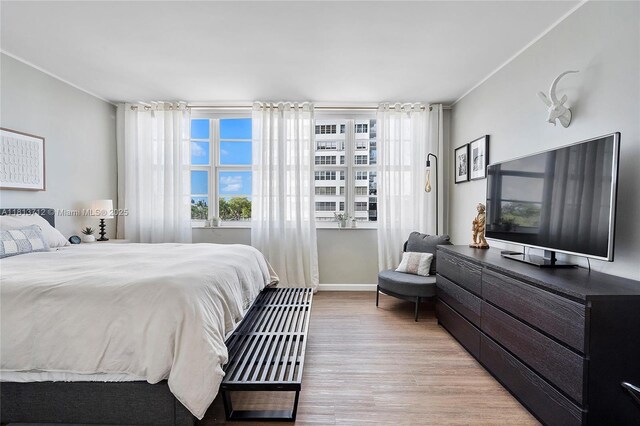 2150 Sans Souci Blvd Unit B311, North Miami, FL 33181 - bedroom featuring light wood-type flooring, multiple windows, and baseboards