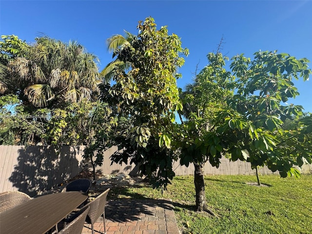 4706 25th Ave SW, Naples, FL 34116 - view of yard featuring a patio