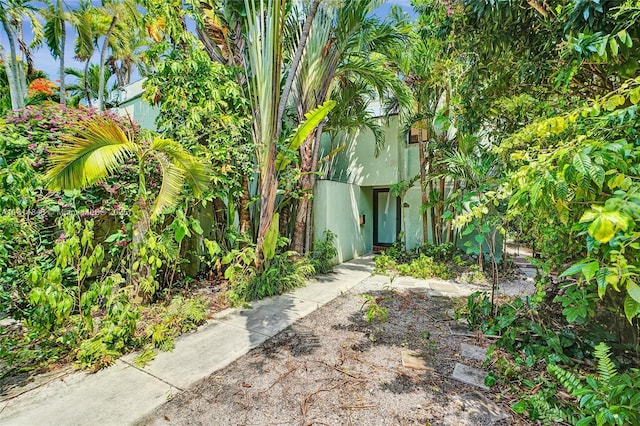 2591 Trapp Ave Unit 4, Miami, FL 33133 - view of yard