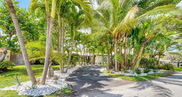 5451 NE 22nd Ave, Fort Lauderdale, FL 33308 - photo 3