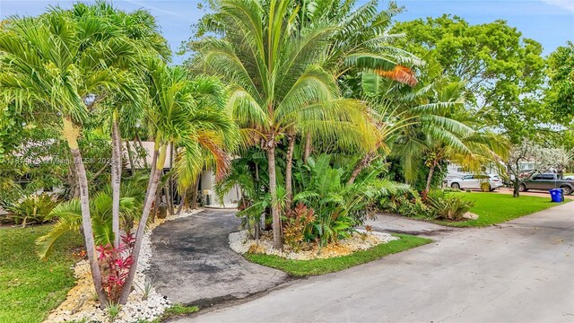 5451 NE 22nd Ave, Fort Lauderdale, FL 33308 - photo 61