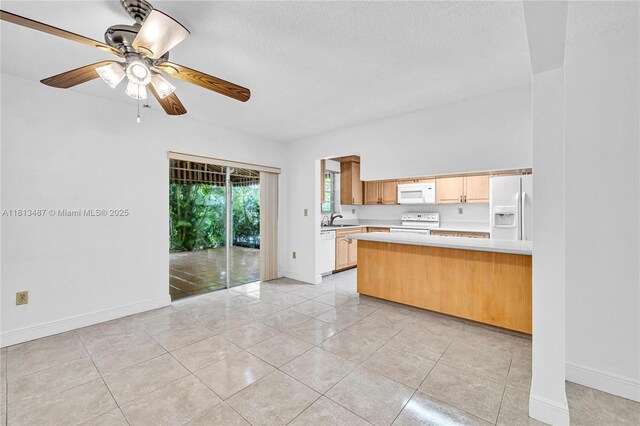 752 Navarre Ave, Coral Gables, FL 33134 - photo 6