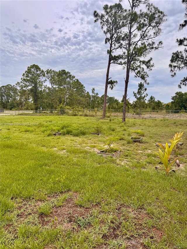 514 Genoa Ave S, Lehigh Acres, FL 33974 - photo 46