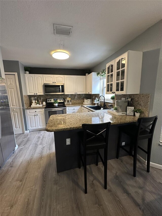238 Magnolia Ave, Davie, FL 33325 - kitchen featuring stainless steel appliances, a sink, wood finished floors, a peninsula, and a textured ceiling