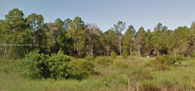 412 Scottsdale St, Lehigh Acres, FL 33974
