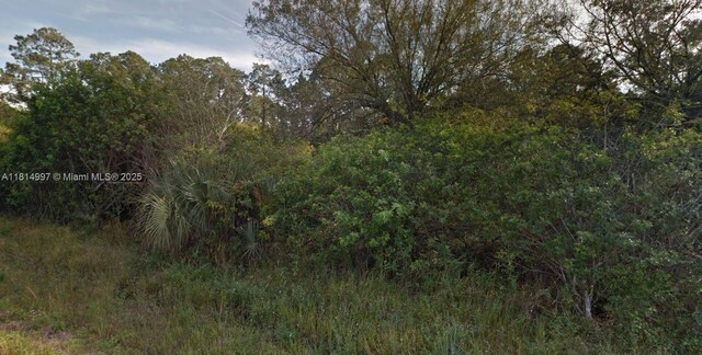 1245 Ramee St E, Lehigh Acres, FL 33974