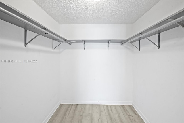 2302 S Cypress Bend Dr Unit 210, Pompano Beach, FL 33069 - spacious closet featuring light wood-type flooring