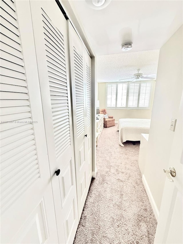 1470 Sheridan St Unit 18C, Hollywood, FL 33020 - corridor with carpet and baseboards