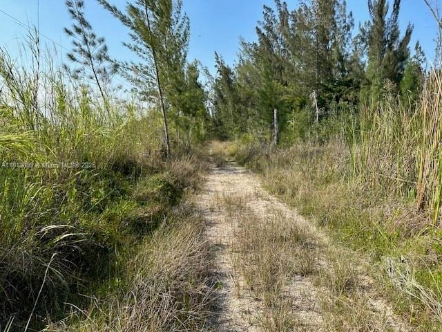 11801 SW 197th Ave, Miami, FL 33196