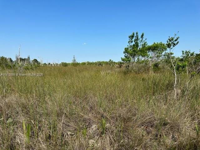11801 SW 197th Ave, Miami, FL 33196