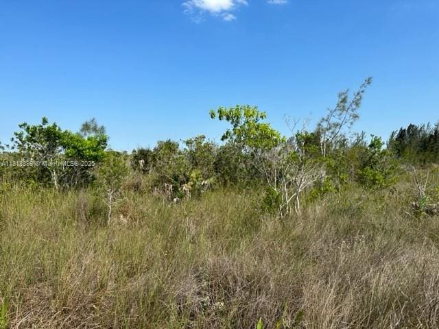 11801 SW 197th Ave, Miami, FL 33196