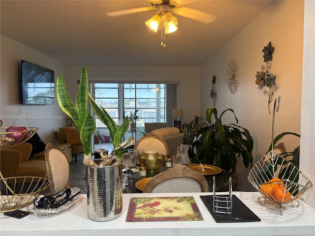 9041 Sunrise Lakes Blvd Unit 311, Sunrise, FL 33322 - detailed view of a ceiling fan and a textured ceiling