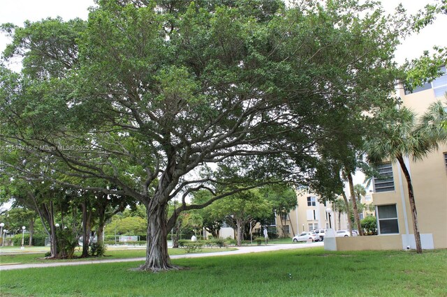 920 Ne 199th St 2S Apt 217, Miami, FL 33179 - view of community featuring a lawn