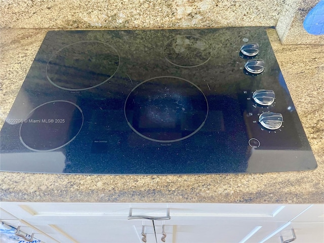 19201 Collins Ave Unit 427, Sunny Isles Beach, FL 33160 - detailed view of black electric cooktop